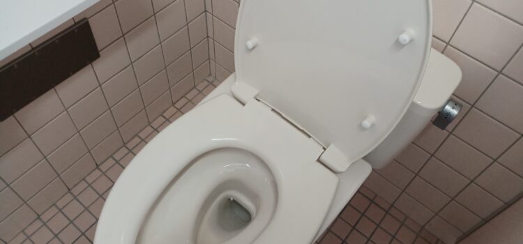 トイレのふた修繕をしました。