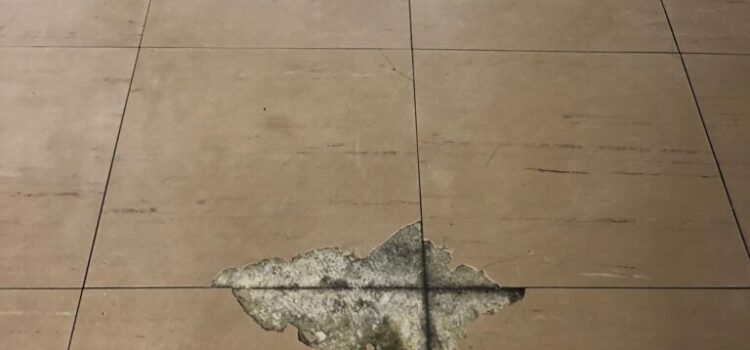 床のメンテナンスについて